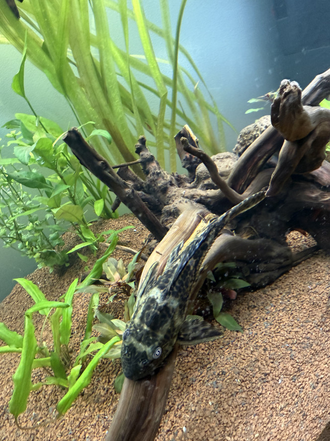 Photographie du post de kevinnn 