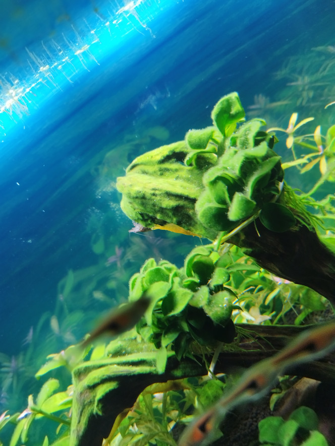 Photographie du post de Lgn02 