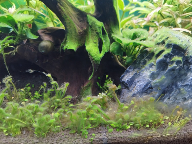 Photographie du post de Lgn02 