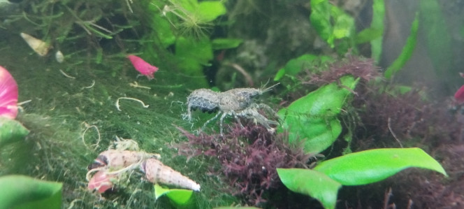 Photographie du post de Olivier1977 