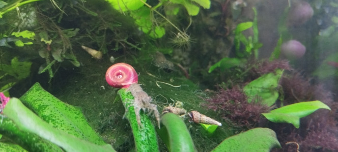 Photographie du post de Olivier1977 