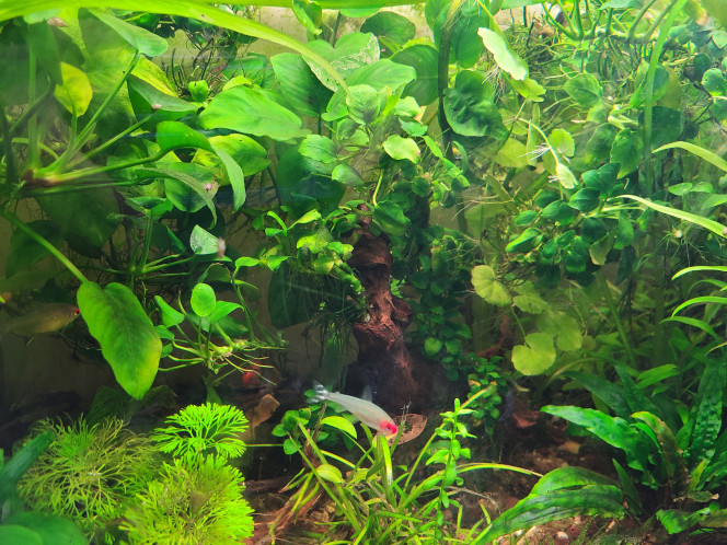 Photographie du post de laurent-galichet 