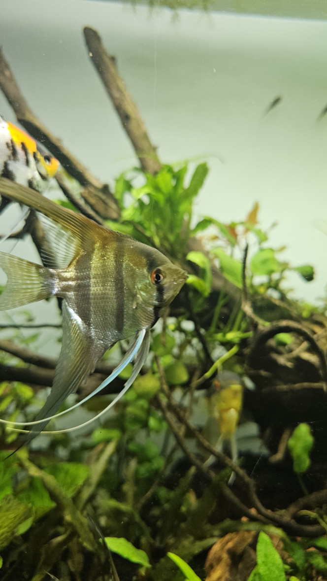 Photographie du post de Jordix7 