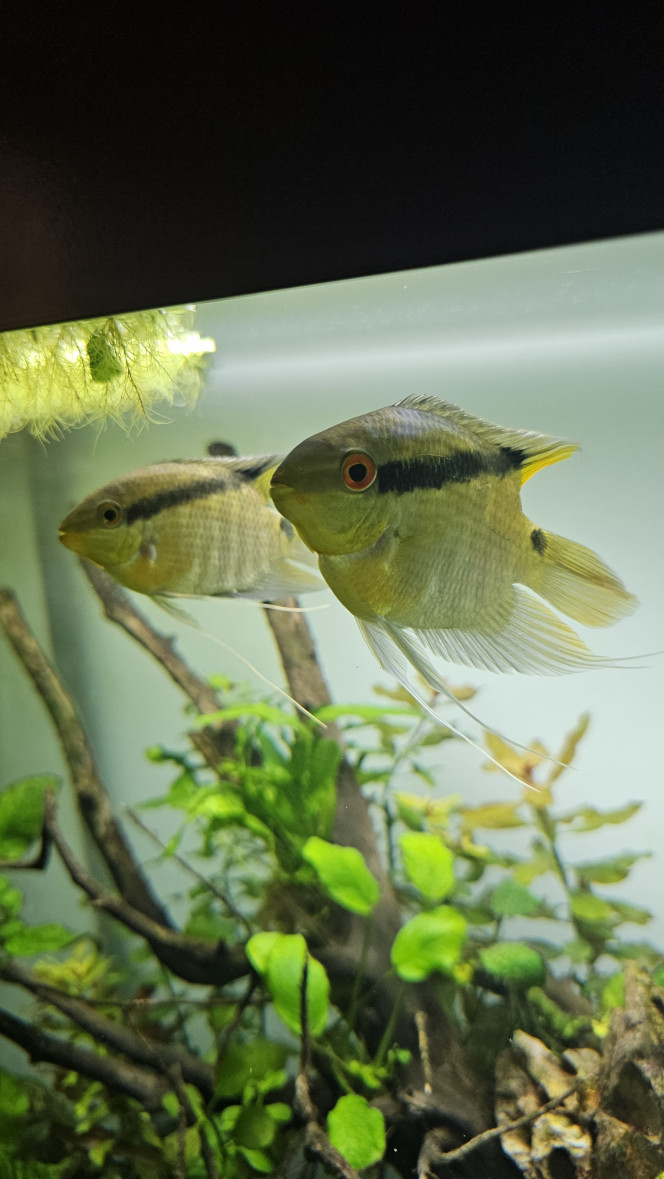 Photographie du post de Jordix7 