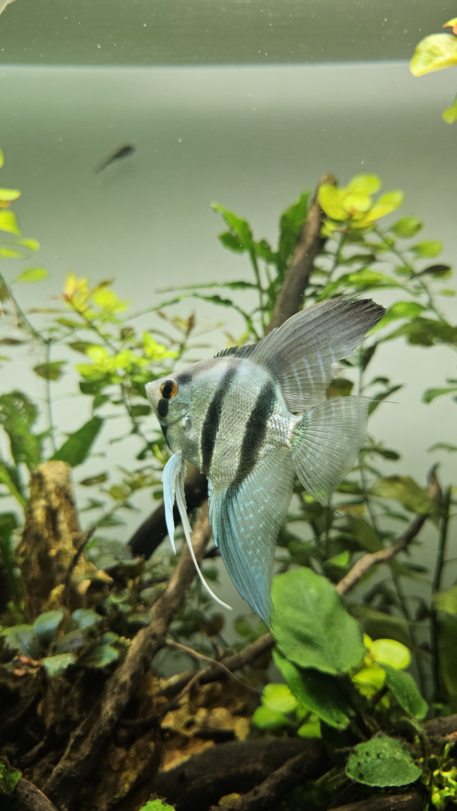 Photographie du post de Jordix7 