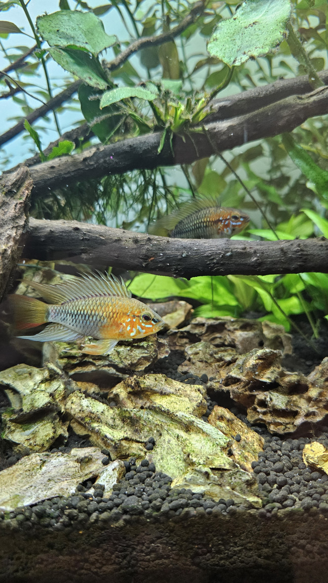 Photographie du post de Jordix7 