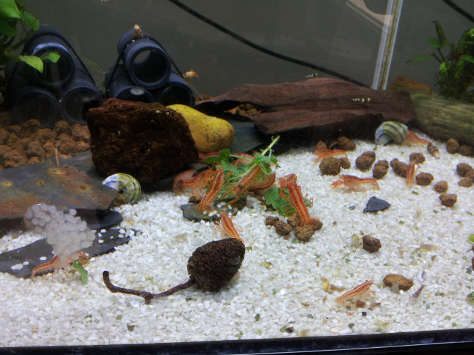 Photographie du post de PORTELLI 