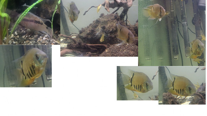 Photographie du post de mathias30 