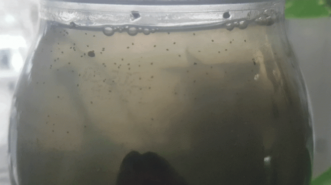 Photographie du post de LiquidPaper2008 