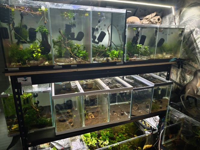 Photographie du post de AquapasionRD 