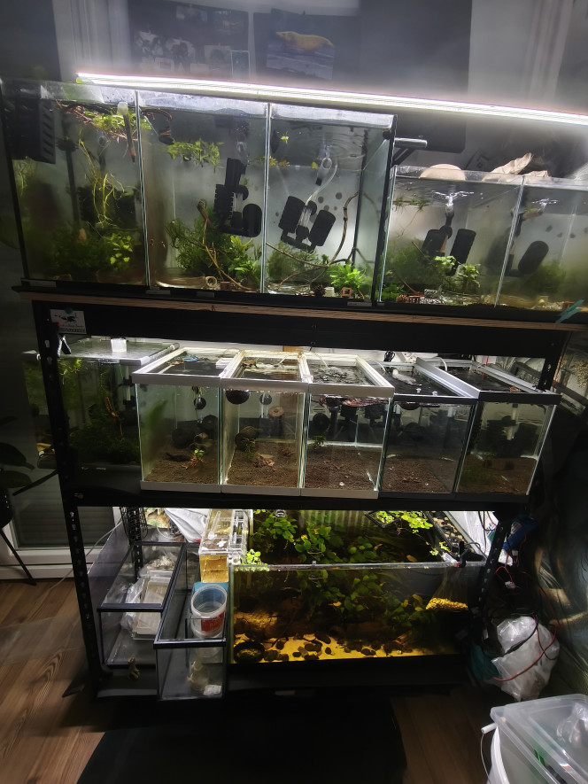 Photographie du post de AquapasionRD 