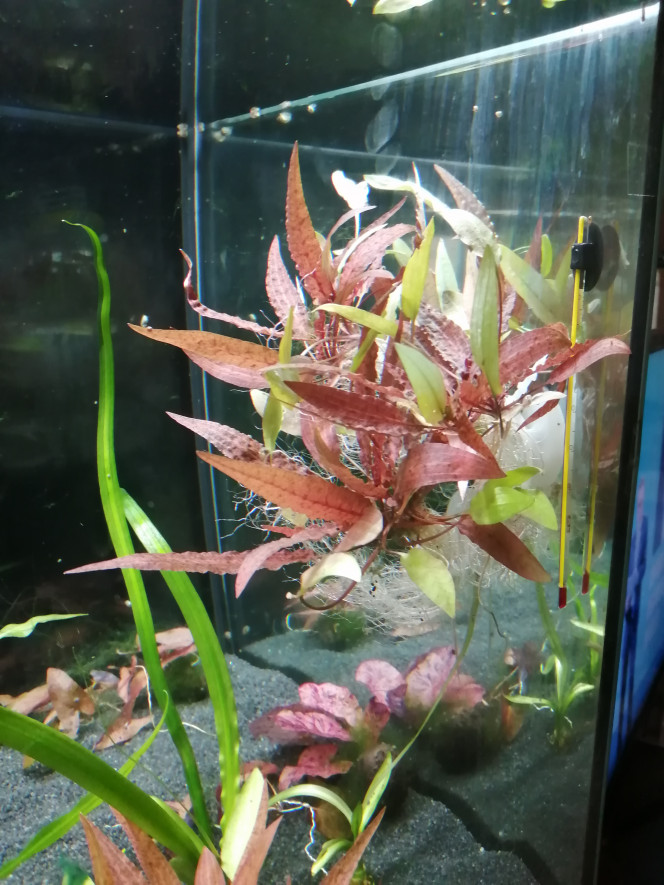 Photographie du post de lexx 