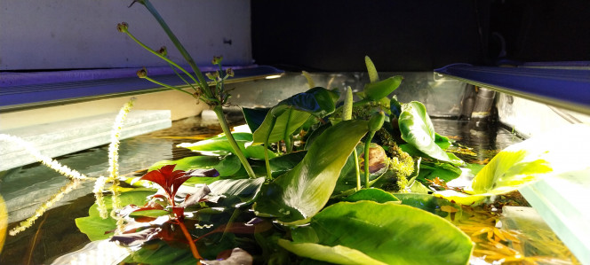 Photographie du post de STK54 