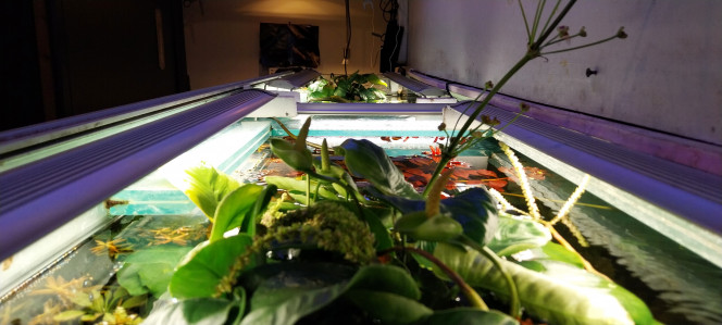 Photographie du post de STK54 