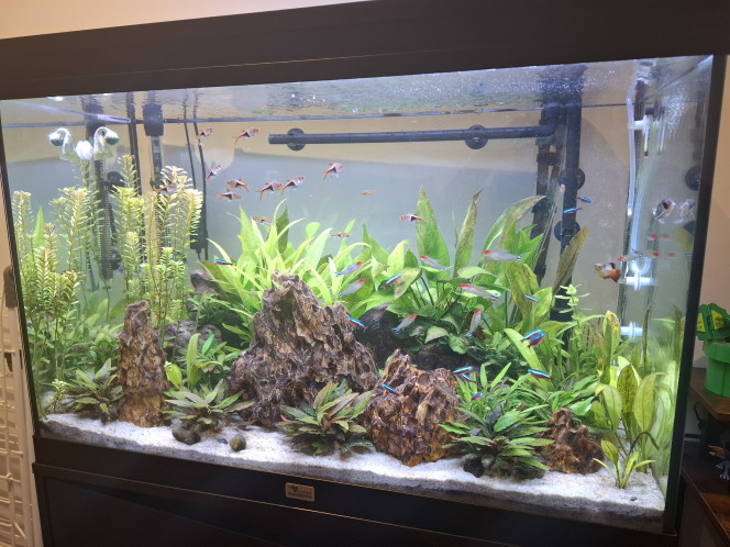 Photographie du post de Guiguidu57 