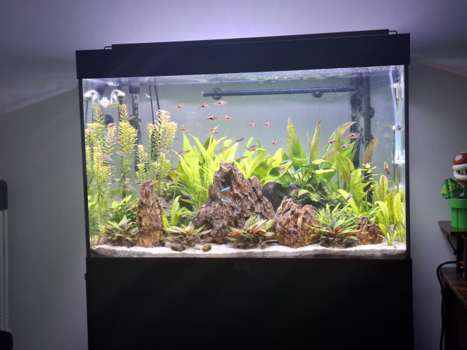 Photographie du post de Guiguidu57 