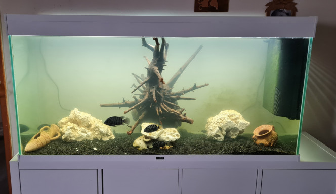 Photographie du post de MelodieRose58 