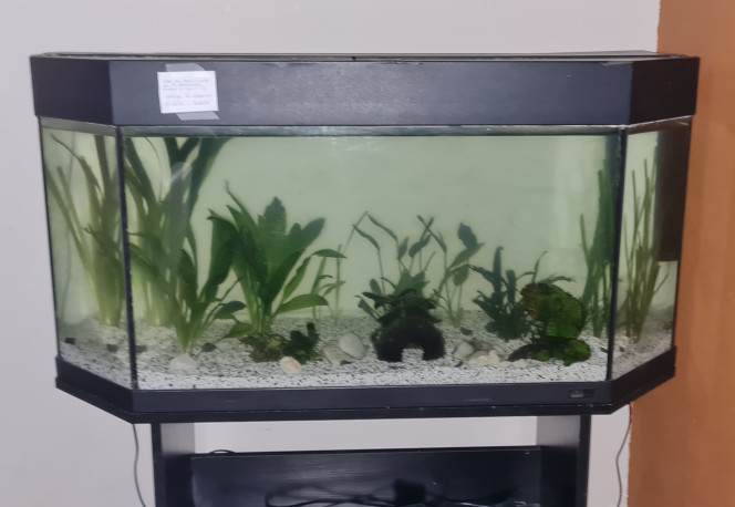 Photographie du post de MelodieRose58 