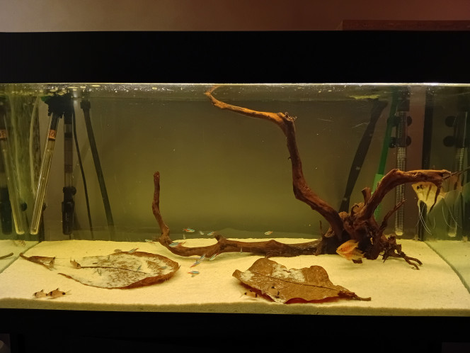 Photographie du post de vv091v 