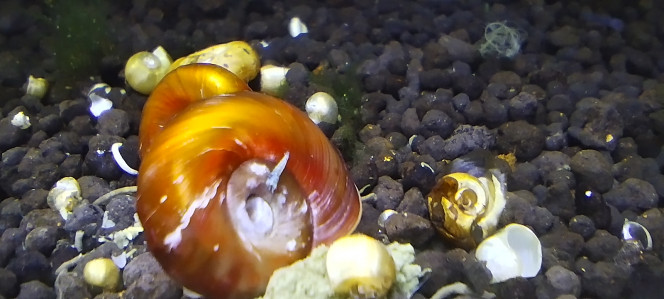 Photographie du post de Olivier1977 