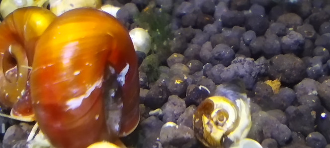 Photographie du post de Olivier1977 