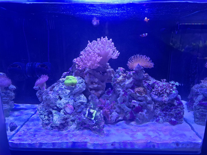 Photographie du post de Guiguidu57 