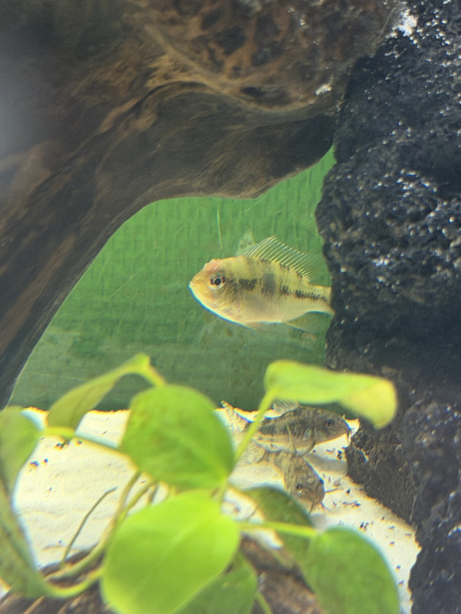 Photographie du post de Loic.lec 