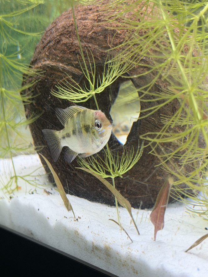 Photographie du post de Loic.lec 