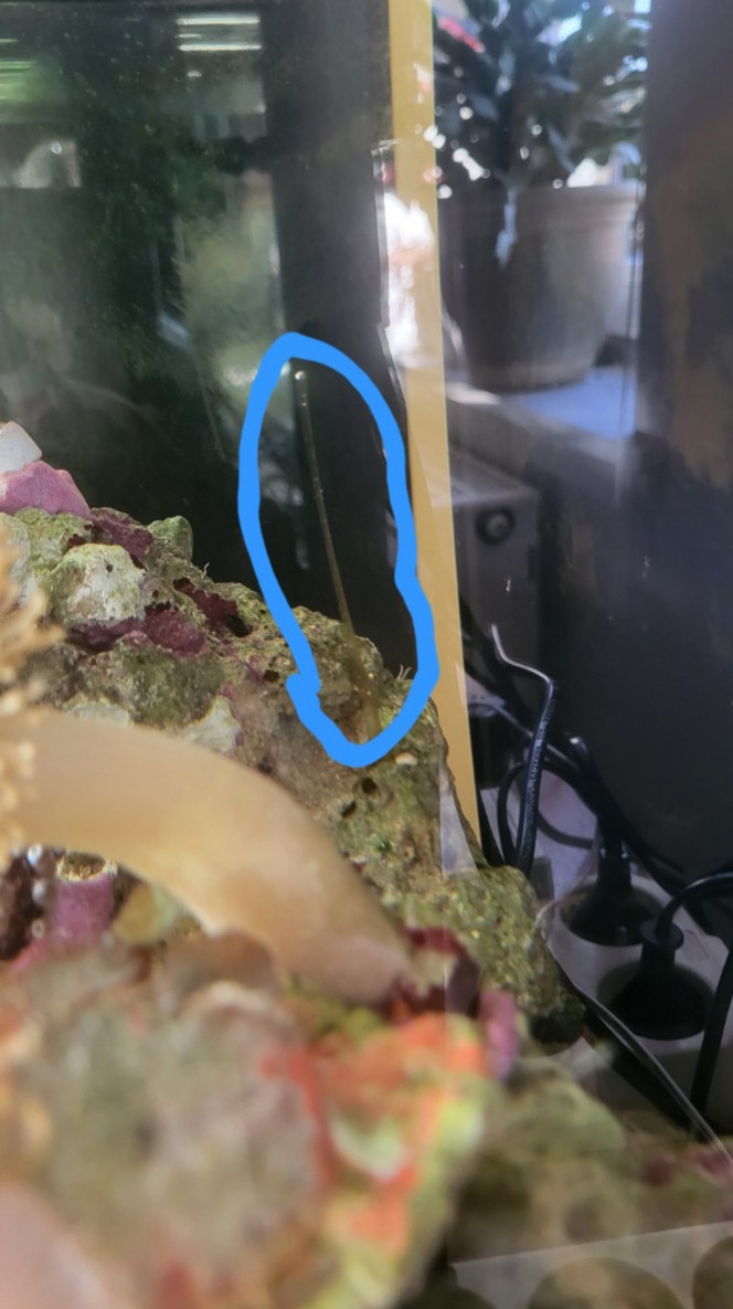 Photographie du post de Sokaris 