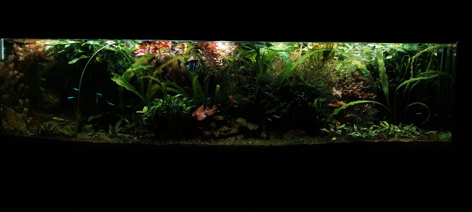 Photographie du post de STK54 