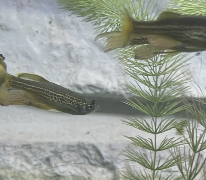 Photographie du post de Emmanuel07 