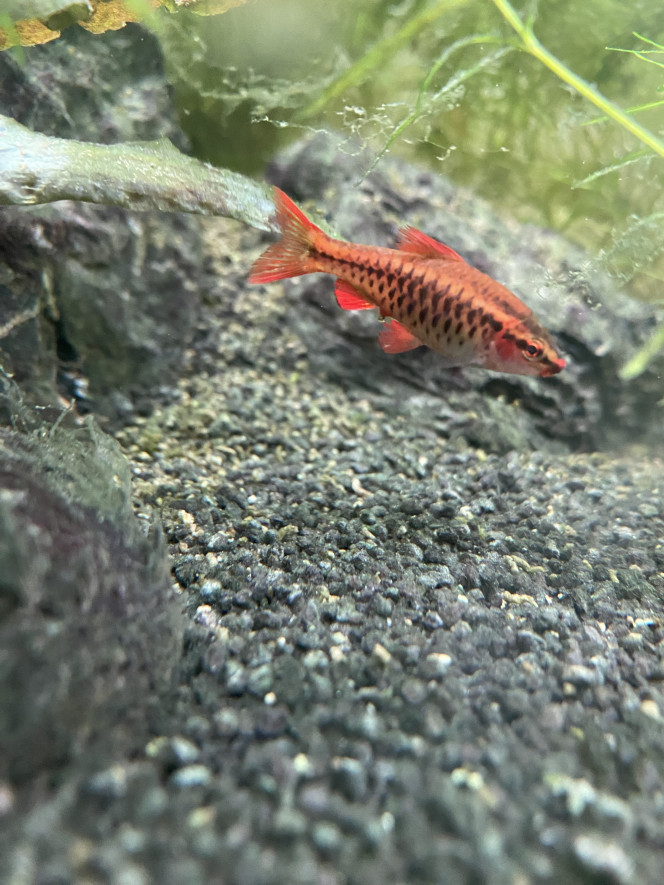 Photographie du post de Emma1234 