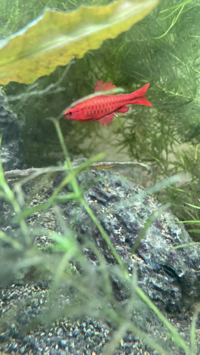 Photographie du post de Emma1234 