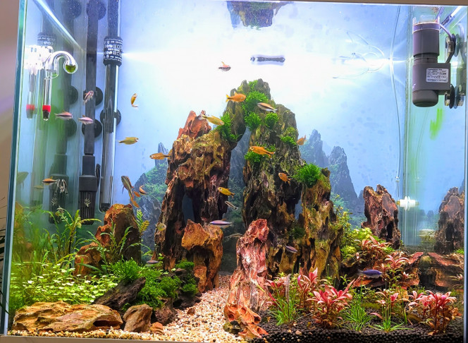 Photographie du post de Yannick66 