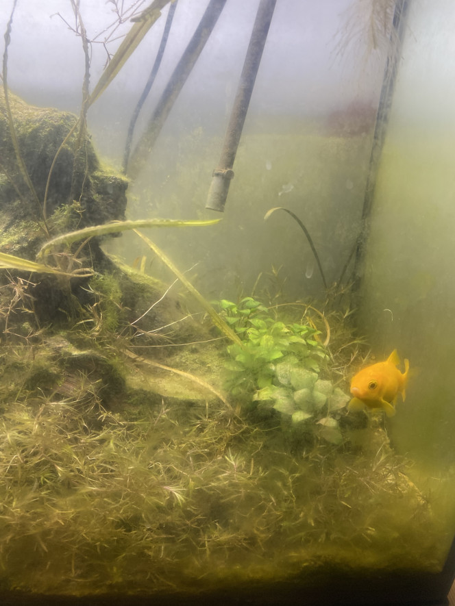 Photographie du post de Emma1234 