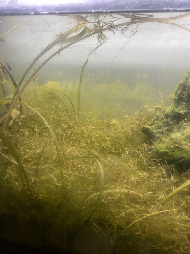 Photographie du post de Emma1234 