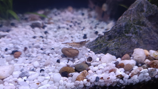 Photographie du post de Bbrouget 