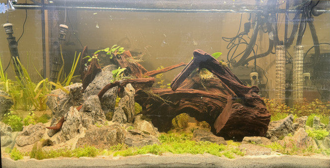 Photographie du post de Thibaut12390 