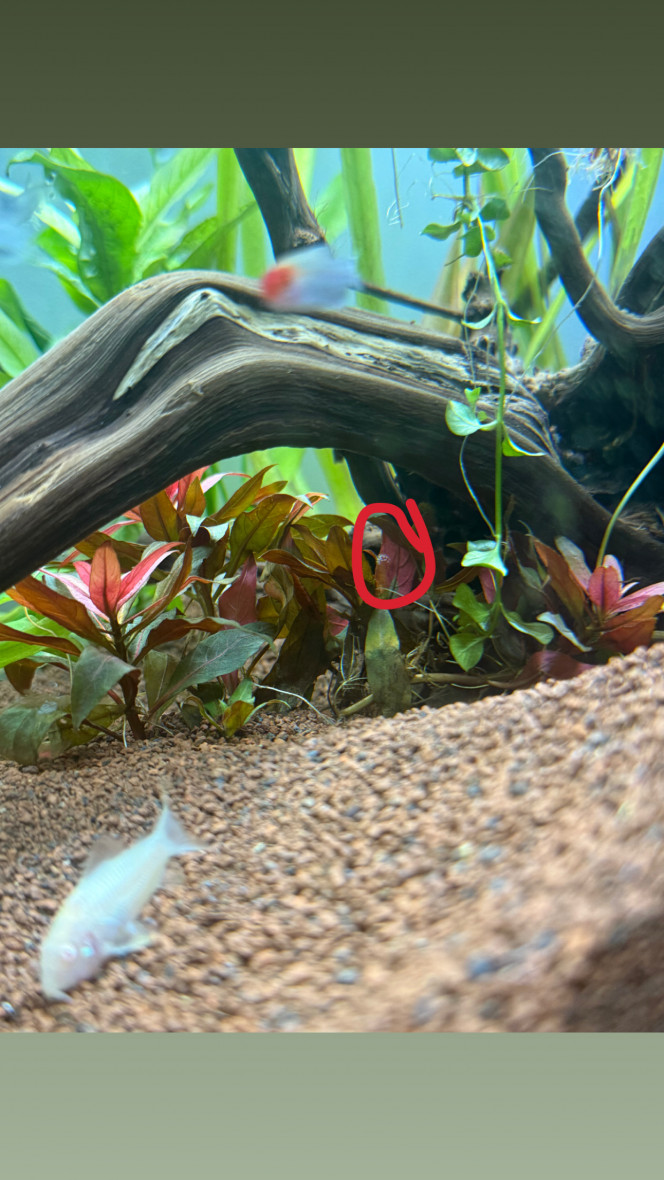 Photographie du post de kevinnn 