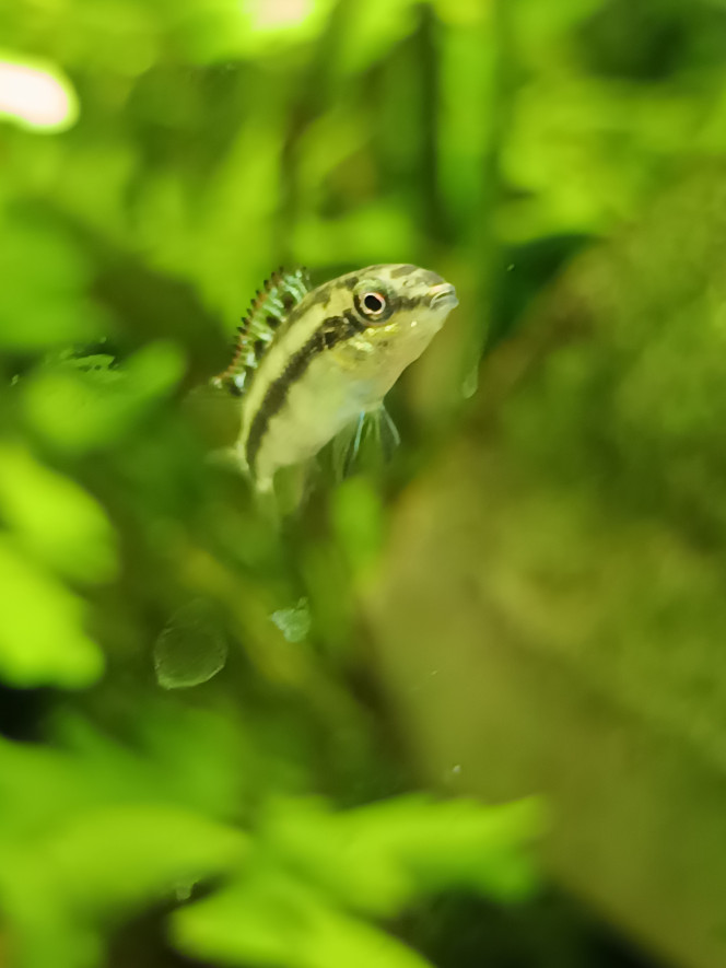 Photographie du post de Zotre 