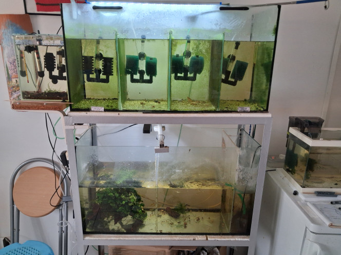 Photographie du post de PORTELLI 