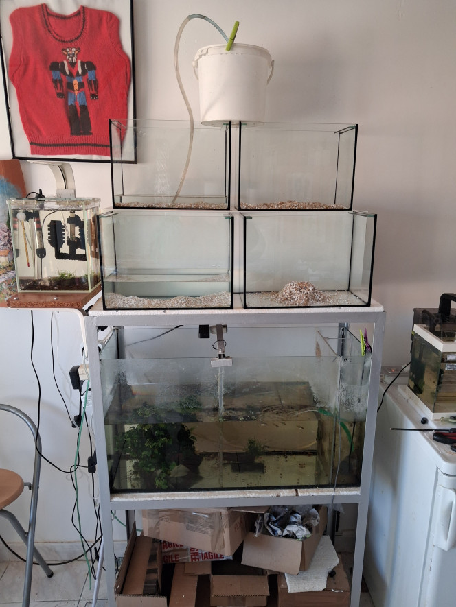 Photographie du post de PORTELLI 