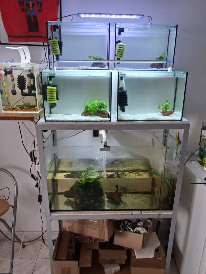 Photographie du post de PORTELLI 