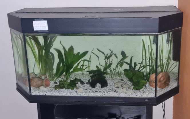 Photographie du post de MelodieRose58 