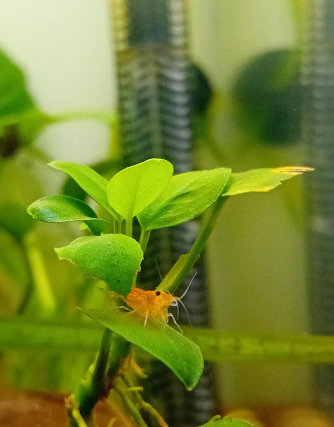 Photographie du post de Lalisa_2 