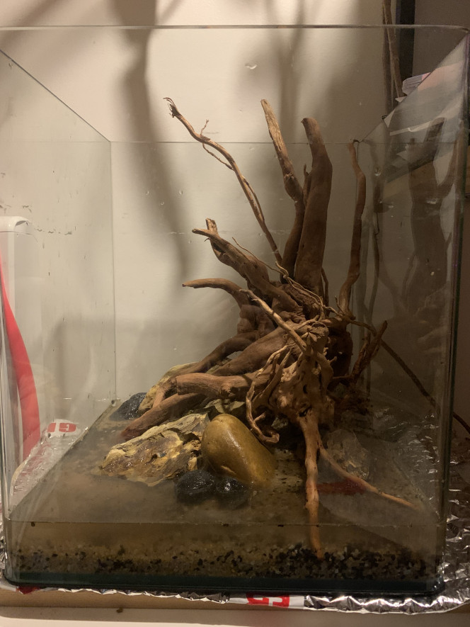  Et voilà !!
Nettoyage finit et hardscape installé, ça rend tout de suite mieux !