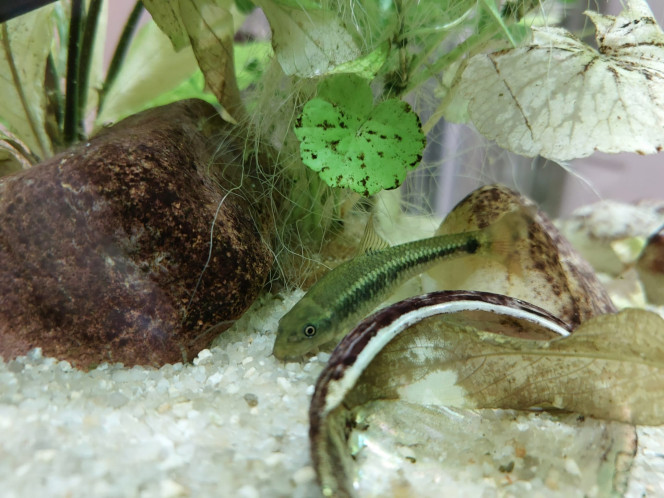 Photographie du post de ET76 