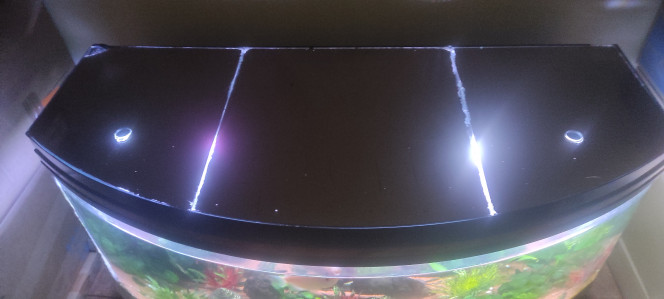 Photographie du post de Plongeur18 