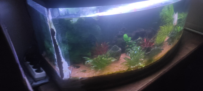 Photographie du post de Plongeur18 