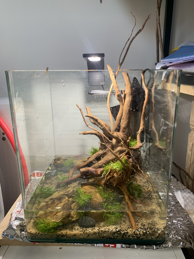  On a commencé à planter ! ?
J’aime beaucoup pour l’instant ! Hate de voir comment ça va pousser. 

Il manque encore pas mal de chose maissss